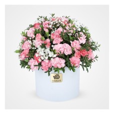 Paliz Carnations Flower Box